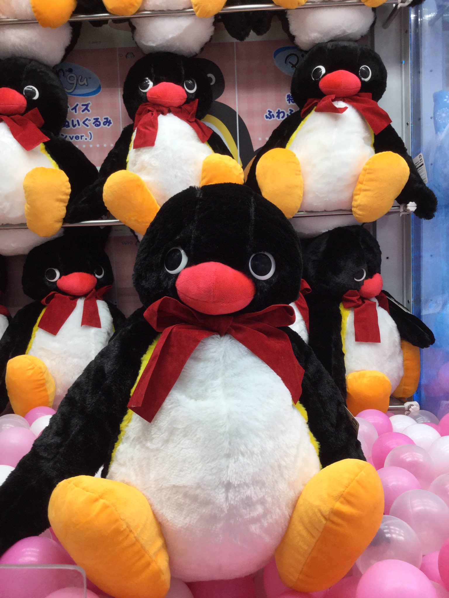 【デカすぎ！！】ピングー　めちゃデカ　特大ぬいぐるみ ピングー特大ぬいぐるみを復刻生産！ | ニュース | ピングー