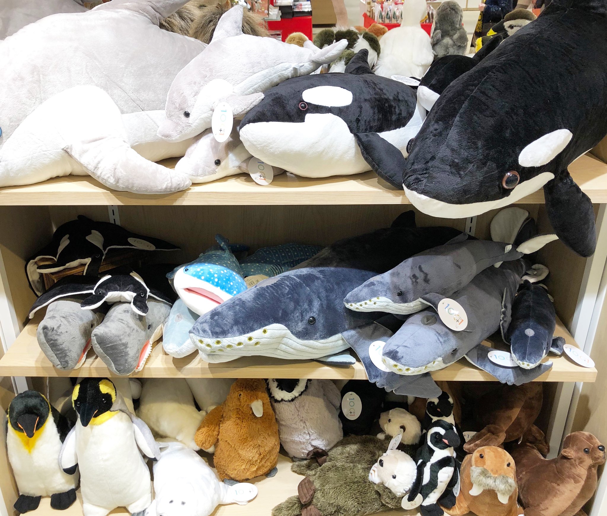 太洋産業貿易 東急百貨店 吉祥寺店 6f イベントスペース1にて 100 1 ワンオーワン ぬいぐるみ ワールド 始まりました ふわふわの動物ぬいぐるみがいっぱいです 12 25クリスマスまでのイベント 大切な人の あなたの 特別な1匹をみつけてください