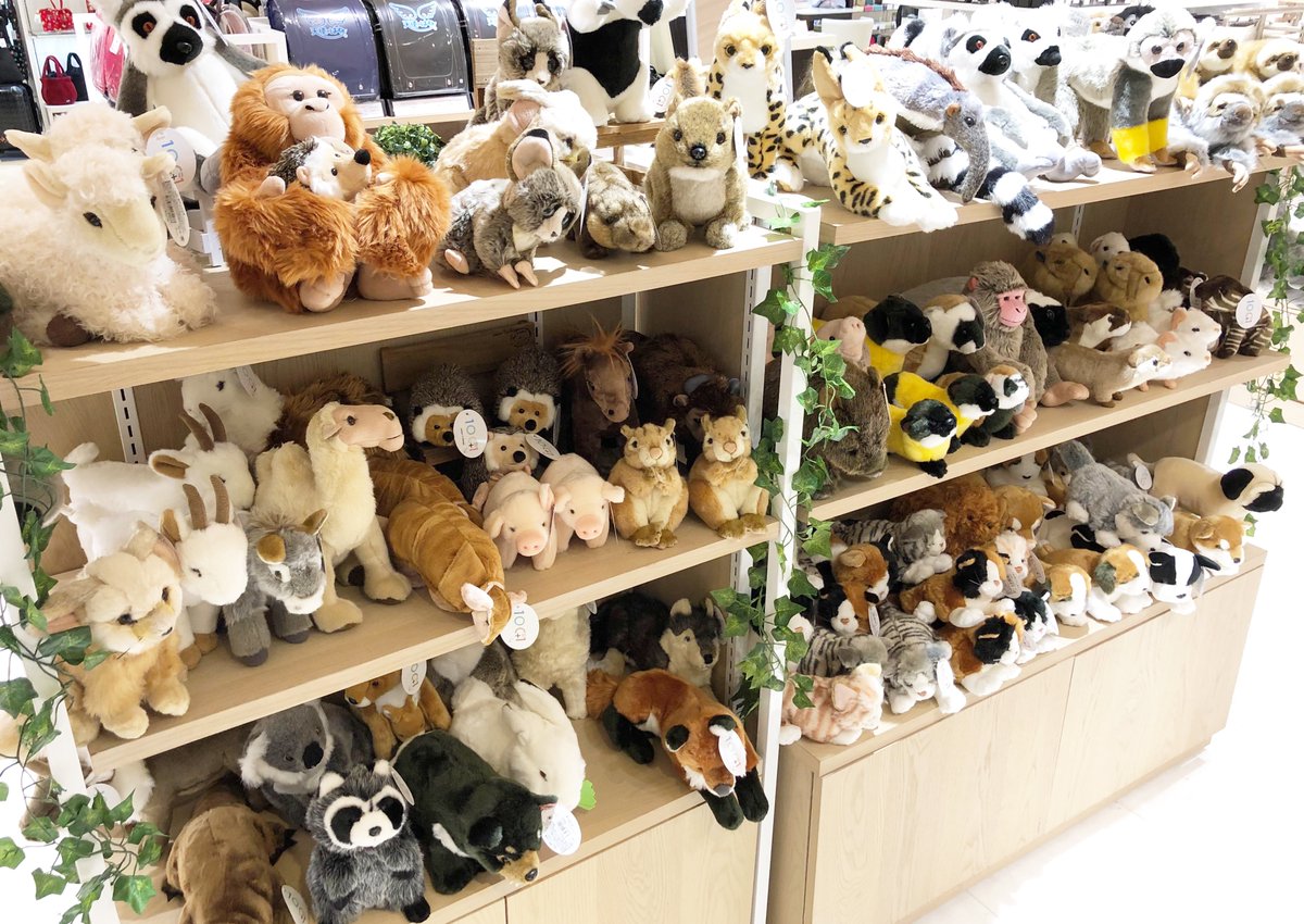 太洋産業貿易 東急百貨店 吉祥寺店 6f イベントスペース1にて 100 1 ワンオーワン ぬいぐるみ ワールド 始まりました ふわふわの動物ぬいぐるみがいっぱいです 12 25クリスマスまでのイベント 大切な人の あなたの 特別な1匹をみつけてください