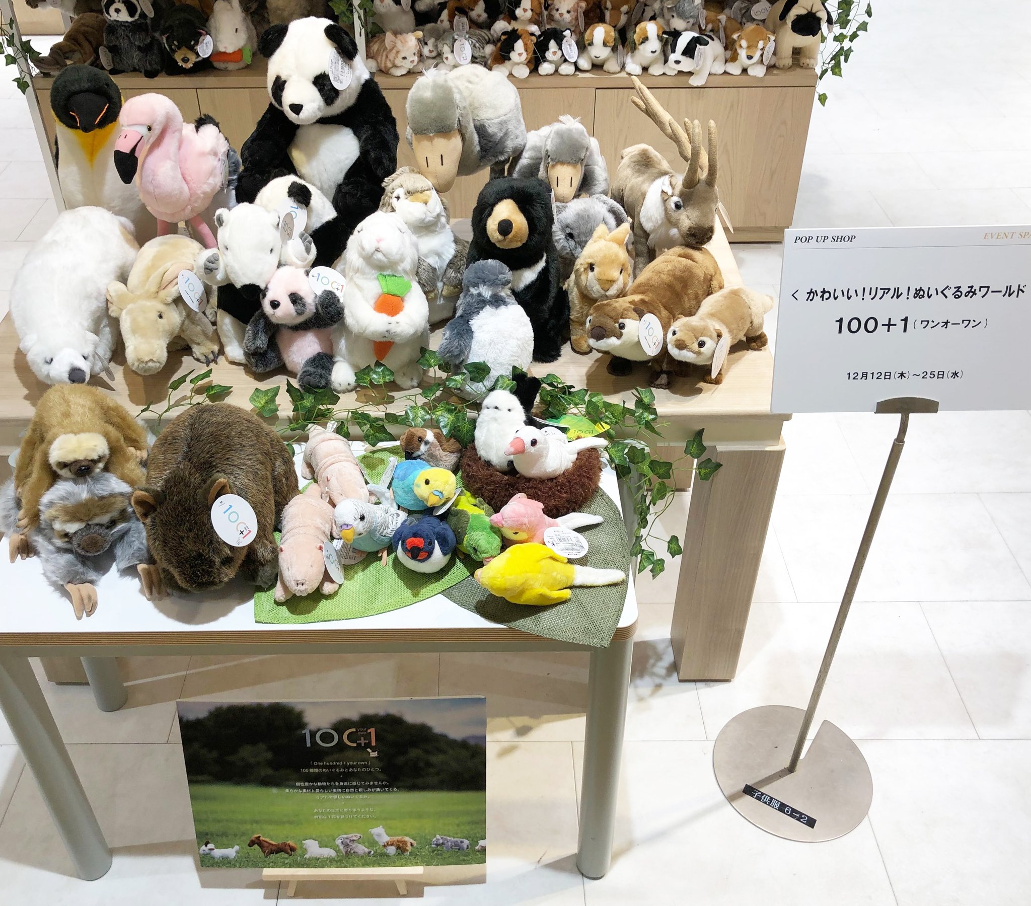 太洋産業貿易 東急百貨店 吉祥寺店 6f イベントスペース1にて 100 1 ワンオーワン ぬいぐるみ ワールド 始まりました ふわふわの動物ぬいぐるみがいっぱいです 12 25クリスマスまでのイベント 大切な人の あなたの 特別な1匹をみつけてください 太洋産業貿易 東急百貨店 吉祥寺店 6f イベントスペース1にて 100 1 ワンオーワン ぬいぐるみ ワールド 始まりました ふわふわの動物ぬいぐるみがいっぱいです 12 25クリスマスまでのイベント 大切な人の あなたの 特別な1匹をみつけてください