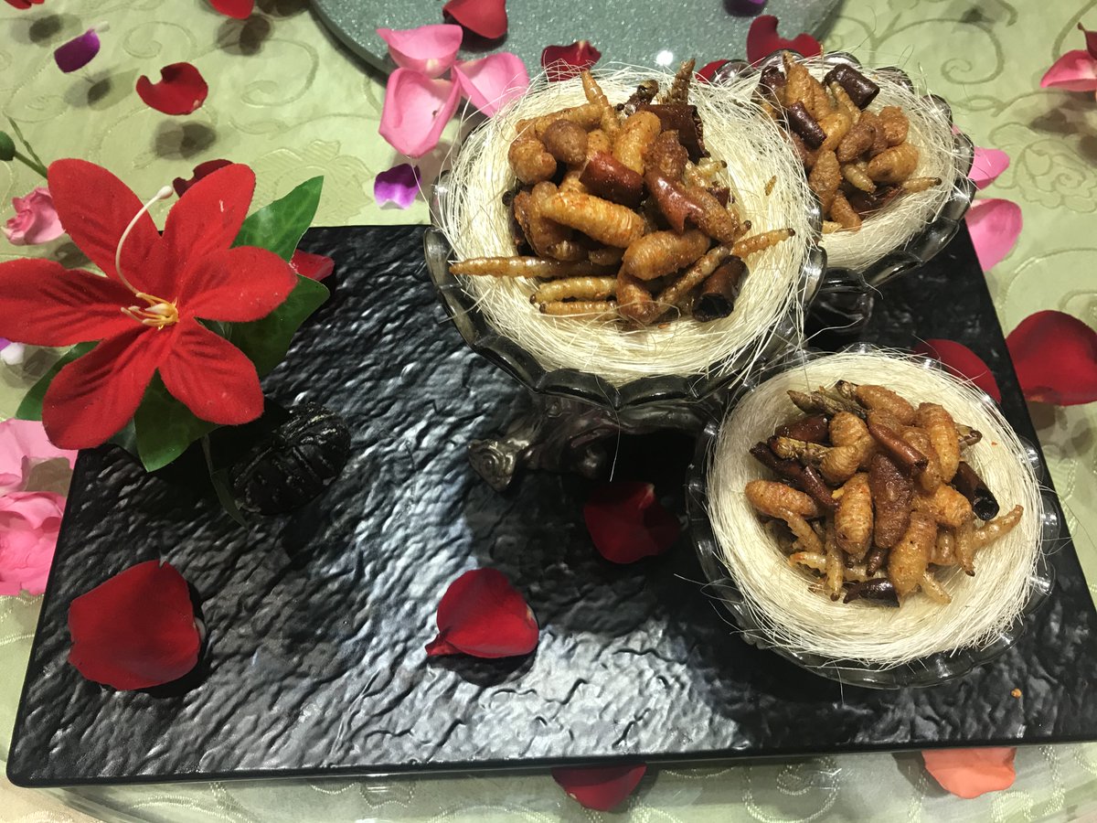 bizzare_0222's tweet photo. 中国の昆明に行った時の食事
昆虫セットとランの���類の花のサラダ
どちらも美味しく頂きました
#昆虫食
#珍味
#花食
#ゲテモノ https://t.co/eddagQCFP1