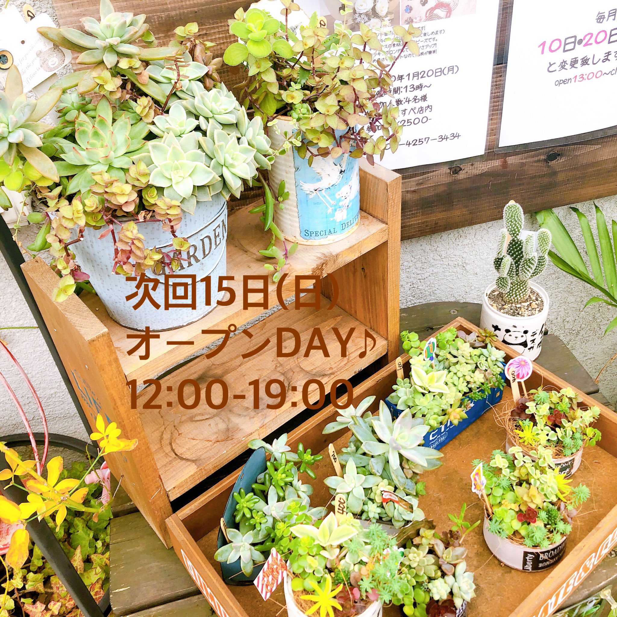 Special Space すぺすぺ 小さめな多肉植物 納品ありました 次回15日 日 オープンday Open 12 00 Close 19 00 ハンドメイド ハンドメイドショップ 委託販売 展示販売 多肉植物 多肉 多肉植物のある暮らし 多肉植物寄せ植え