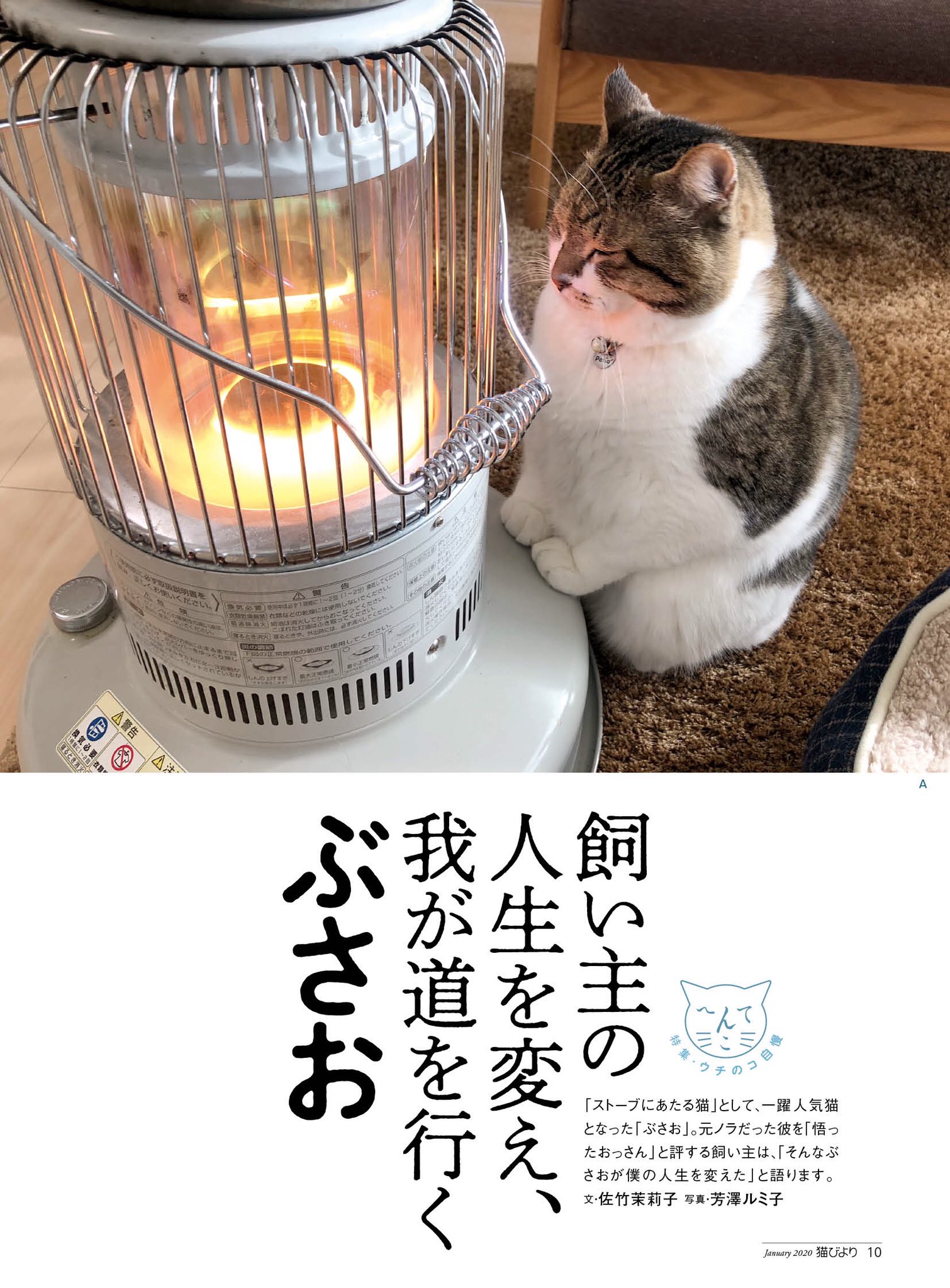 ぶさお Twitter Search Twitter