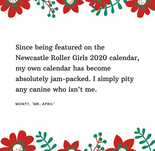 nclrollerderby's tweet image. Ours dogs of derby calendar really is changing lives for better or worse...

You can order your own calendar in time for Christmas and check out Monty and our other doggie stars before they hit the big time 👉  newcastlerollergirls.co.uk/product/dod202…

#derbymerch #dogsofderby