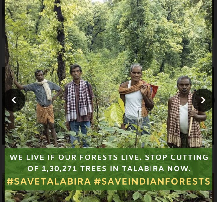 fridays_india's tweet photo. While cyclones have grown in number and severity, Govt  keeps cutting trees for mining. 1,30,271 trees are being cut in Talabira NOW. Raise your voice. Stop mining! #SaveTalabira #StopNLC #SaveIndianForests #StopMining #SaveTalabiraForest @fayedsouza @Geeta_Mohan @CBhattacharji https://t.co/CmjOa9fYVi