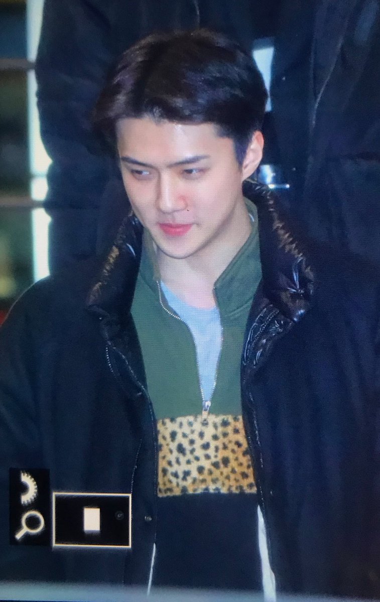 leopard panel half zip sweatshirt