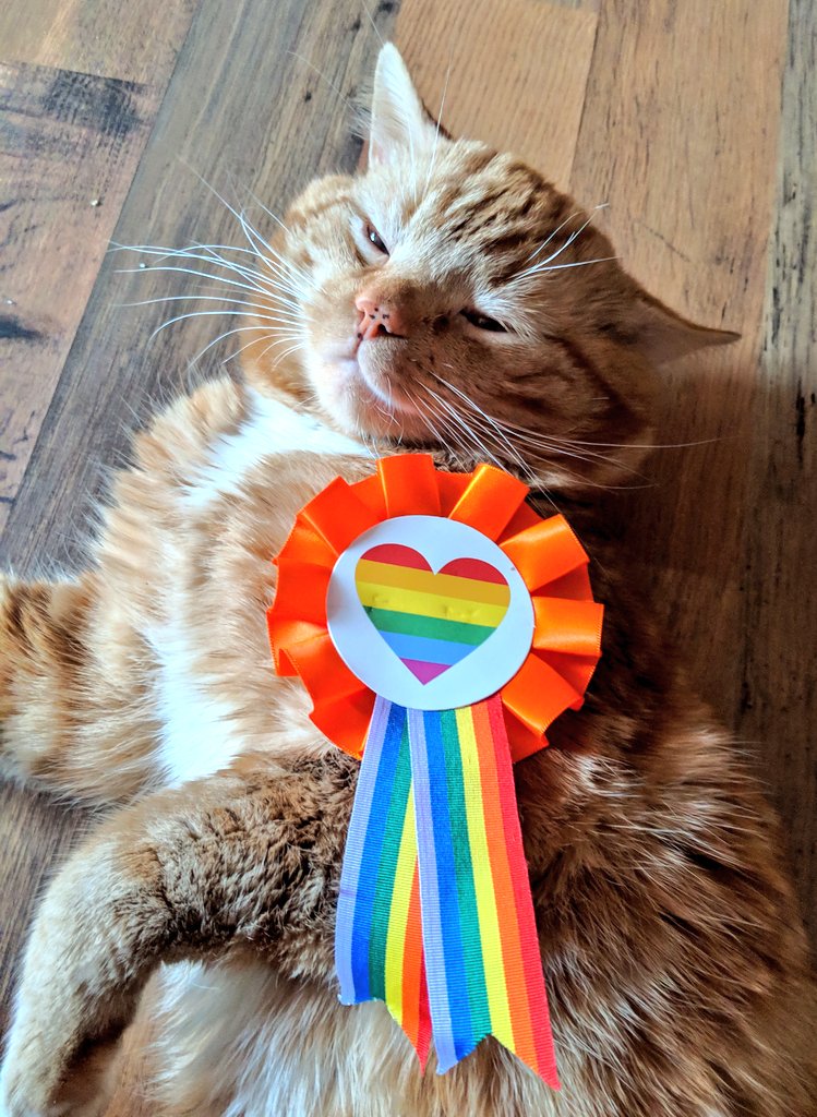 Bilbo lies on the floor looking incredibly content and smug. He is wearing a large orange rosette with a rainbow heart on it. He says "for the many boys, not the few boys! Vote for your future and the future of boys! Get your dinner egg Jeremy Corbyn"