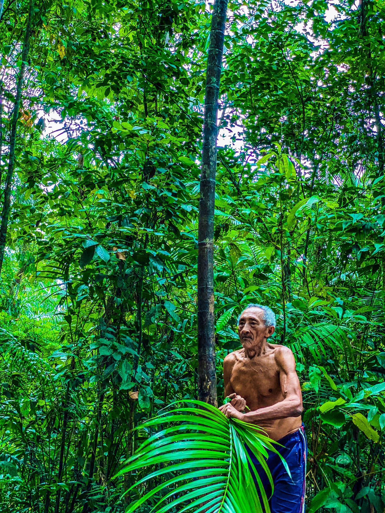 アしや 芦谷 耕平 今回の旅の一枚 アマゾンのリアルジャングルクルーズ また詳細は追って ベレン Belem ブラジル 南米 アマゾン Combu ジャングルクルーズ Animazon Jojosbizarreadventure T Co 8f3nolp6xy Twitter