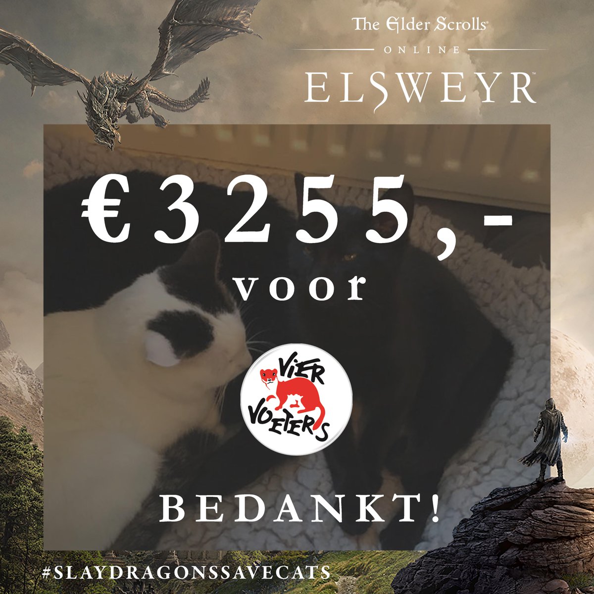 Afgelopen dinsdag hebben jullie hebben met z'n allen maar liefst €1085 gedondeerd tijdens onze livestream en we hebben besloten het bedrag te VERDRIEDUBBELEN! Het uiteindelijke bedrag dat we doneren aan <a href="/VIERVOETERS/">VIER VOETERS</a> is €3255! Iedereen ontzettend bedankt voor de support!