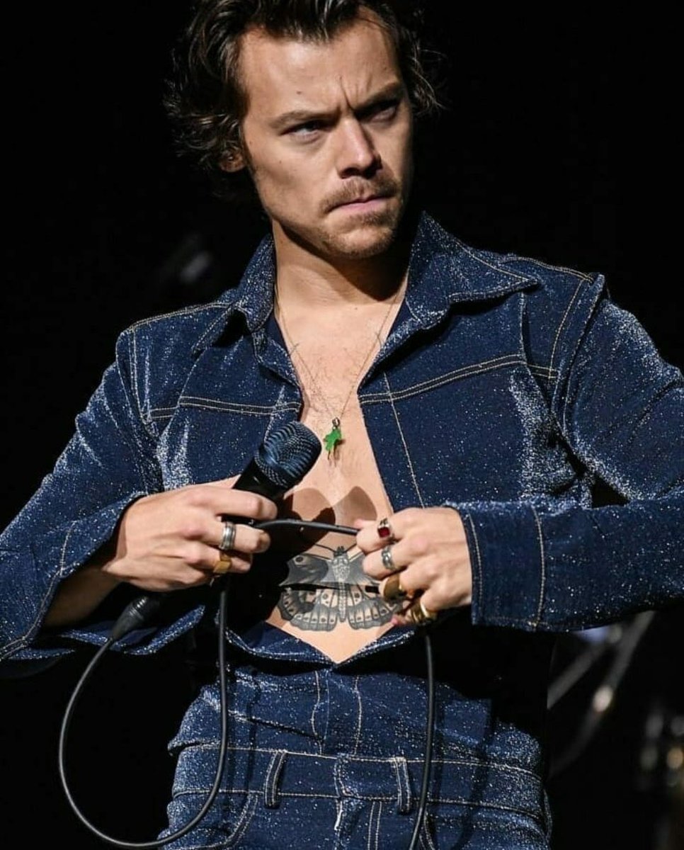 thingsicandani's tweet photo. Being a Harry stan in 2019 is winning at life. https://t.co/0ko3PX0wSx