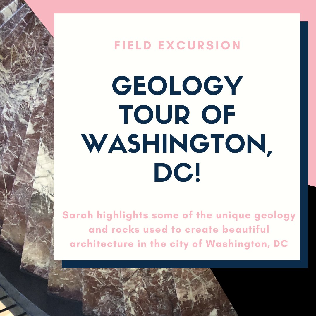 TimeScavengers's tweet image. In this #FieldExcursion post @sarahlsheffield highlights some of the neat #geologic features and #rocks contained in the buildings within the city of Washington DC! 

Read more about what she found on the blog at timescavengers.blog/2019/12/12/geo…