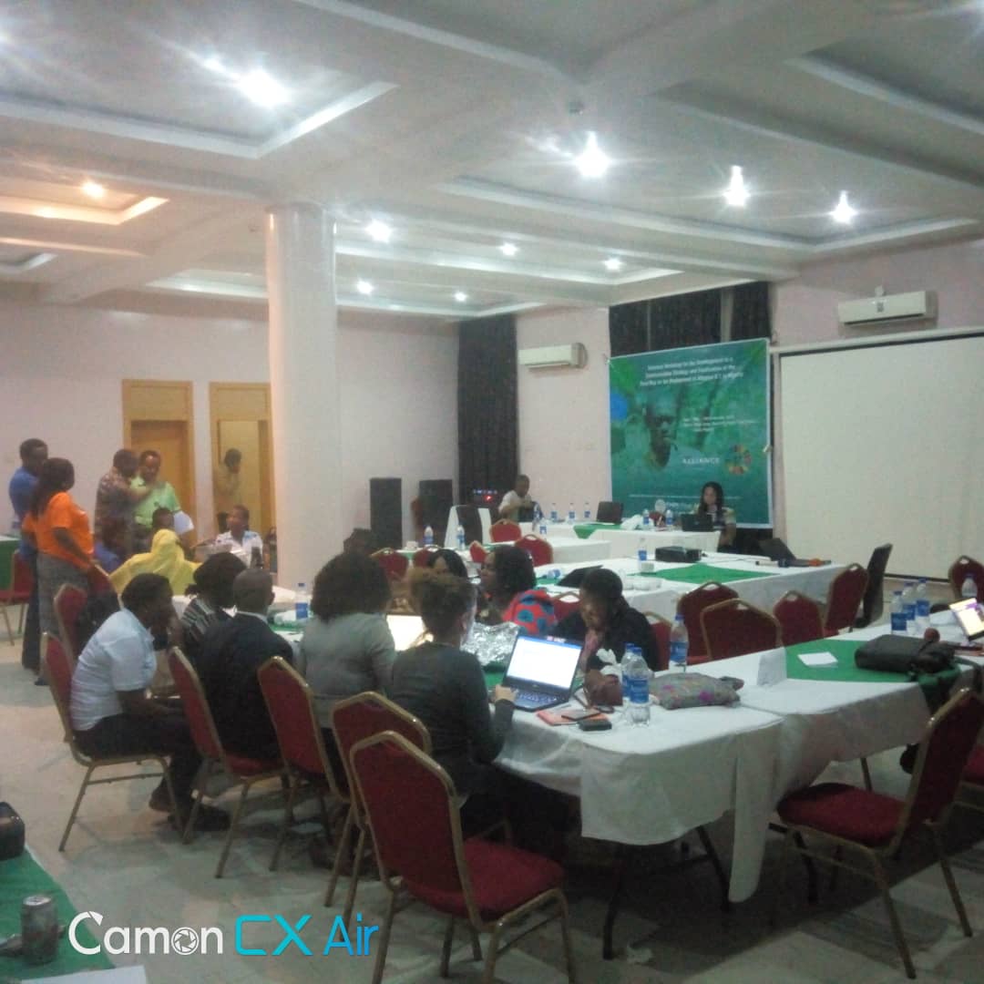 Plenary session of the Alliance 8.7 technical committee at ongoing capacity building workshop, towards development of a communication strategy to promote the achievement of SDG 8.7. #achieve87 #Nigeria #ChildLabour