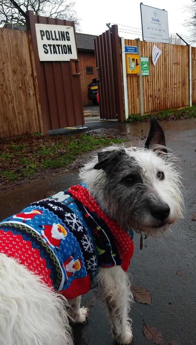 And the award for best dressed goes to... #dogsatpollingstations