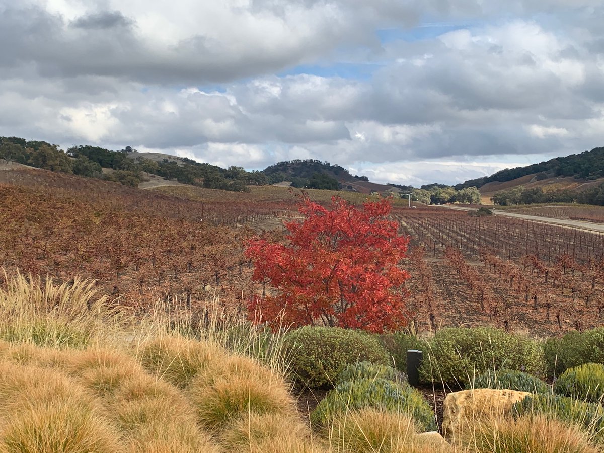 Beverage_Air's tweet photo. One of our own was working on a winery project near the central coast of California and came across these at Halter Ranch.
#AliGroupFS #BevAirEverywhere #NC51 #VM12 https://t.co/lg8xq4q7Cs