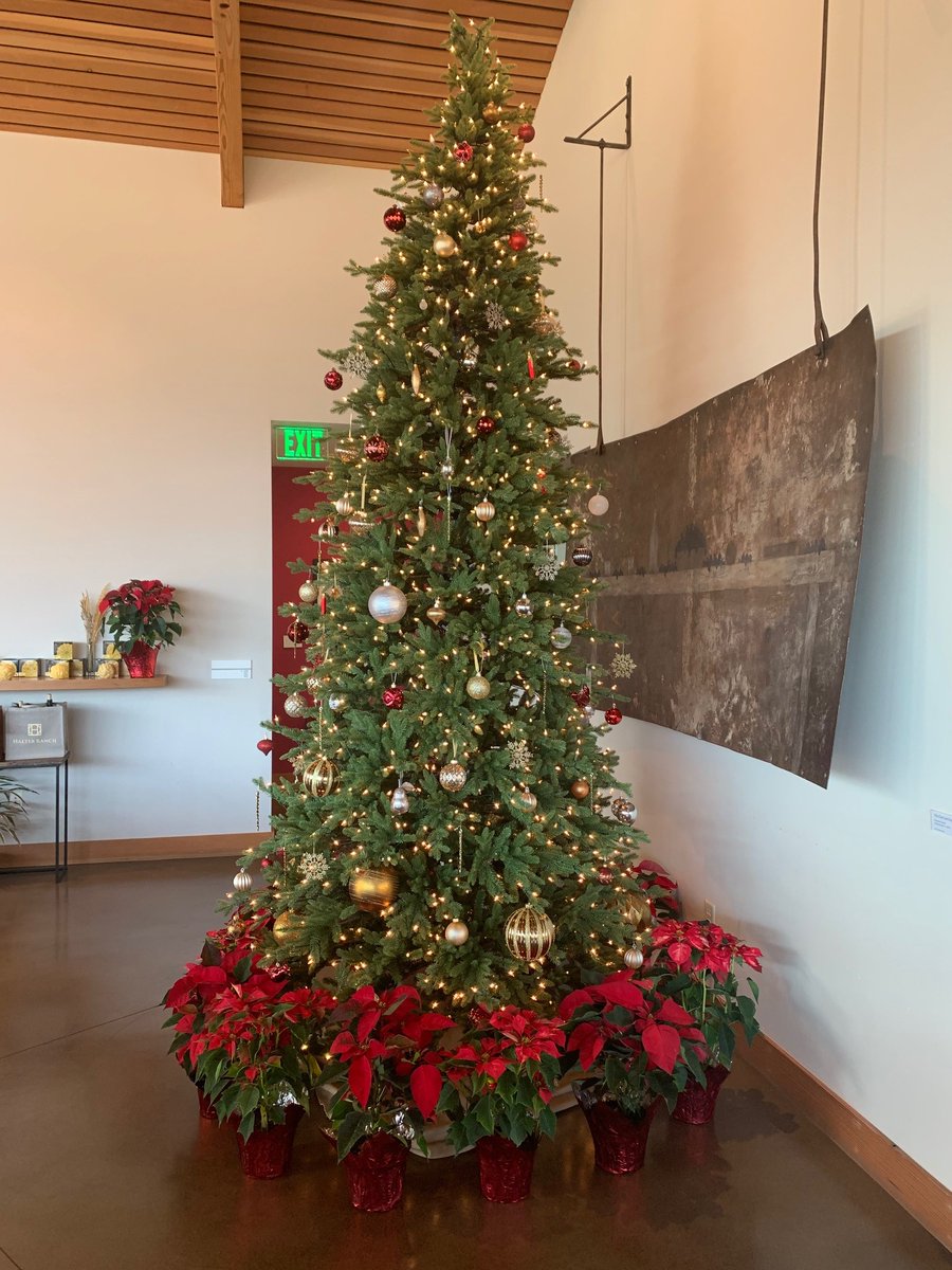 Beverage_Air's tweet photo. One of our own was working on a winery project near the central coast of California and came across these at Halter Ranch.
#AliGroupFS #BevAirEverywhere #NC51 #VM12 https://t.co/lg8xq4q7Cs