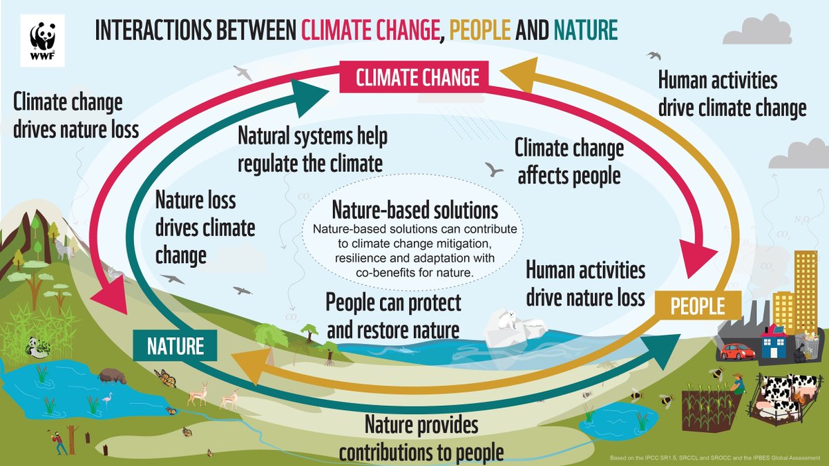 WWFDRC's tweet photo. New report from @WWF shows strong 💪 and healthy 🌱 natural ecosystems can help us adapt and fight the #ClimateCrisis… but they need our help too! https://t.co/TK12WePHyM