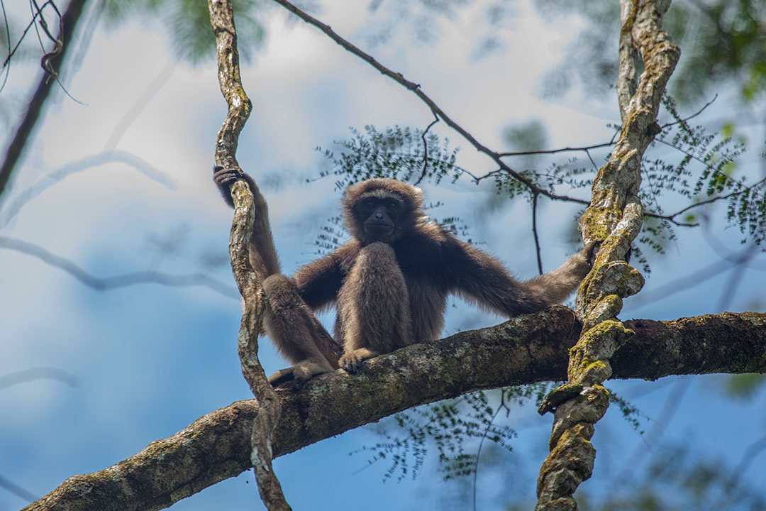 Sticky Rice Travel tweet media