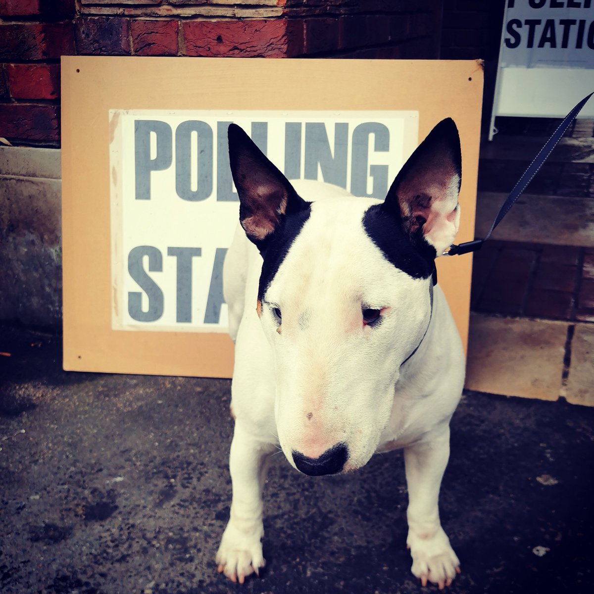 #dogsatpollingstations #dogsatpollingstations2019