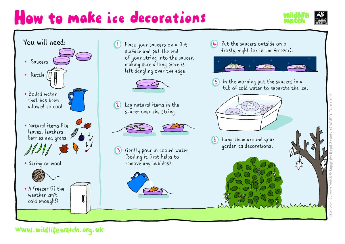 EssexWildlife's tweet photo. Why not make your garden trees look festive with these beautiful ice decorations? βοΈβοΈ #TerrificTrees https://t.co/BaVv1OUe2m