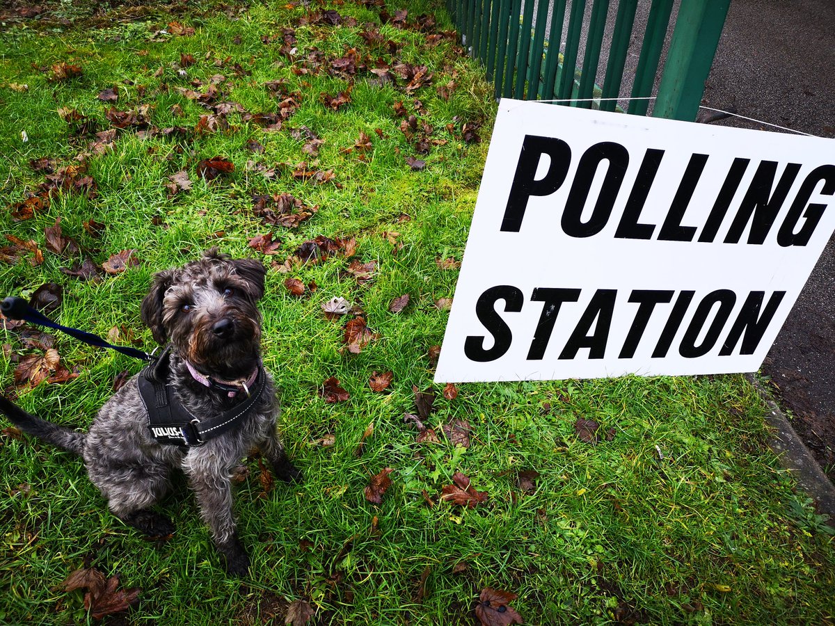 Make good choices #dogsatpollingstations