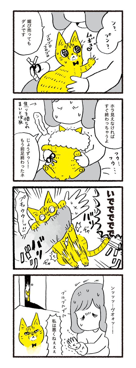ねこちゃんの爪切りは格闘技に等しい
食うか食われるかの運命(SADAME) 