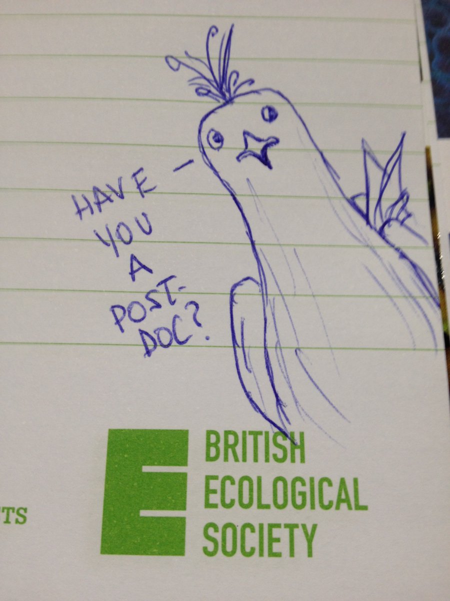 rjl_numenius's tweet photo. At #BES19 and looking for a #postdoc in ornithology, ecotoxicology or wildlife health (or a magic combo of all three!). Feel free to DM if you know of anything. https://t.co/MV2so7LOSV