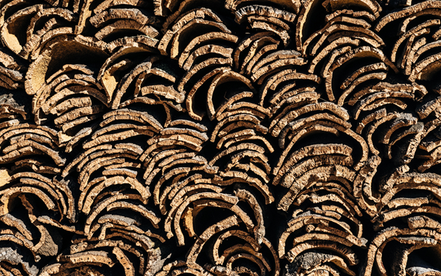 KATCHe10's tweet photo. Natural, renewable and recyclable, cork is a safe choice for those who care about the future of the planet. https://t.co/NgUKRBz7Am #cork #circulareconomy #katche https://t.co/Vt0eycsF8D