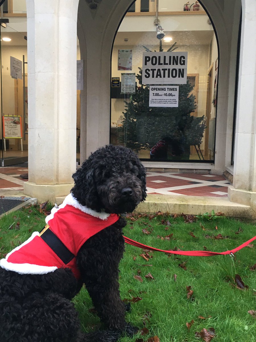 Reindeers at polling stations? - she was fooling no one! #dogsatpollingstations #christmasdogs <a href="/reigatebanstead/">Reigate & Banstead Borough Council</a>