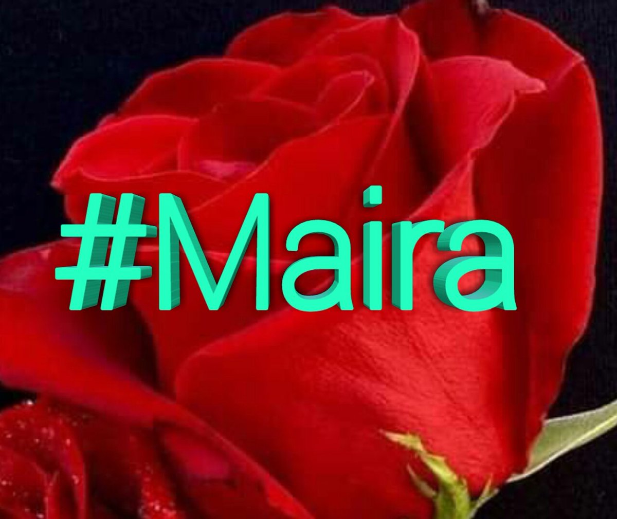 AsadSethar's tweet photo. #مائران گروپ لسٹوں میں شامل ہونےکیلئےRTکریں
@MairaAsad786 /A
@soon_abid
@DiljAaaan
@KhaiyalM
@ghaatpoze
@Ambreenm3 
@imAshrf
@Burhan39593242 https://t.co/ZL7gUbqqf0