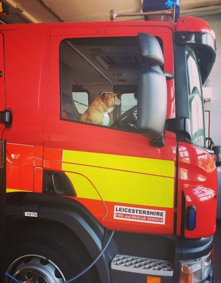 We're joining <a href="/cambsfrs/">Cambridgeshire Fire and Rescue Service</a> in making today less about #DogsAtPollingStations and more about #DogsAtFireStations!🐶🚒

Here's a selection of our favourite pooch pics from 2️⃣0️⃣1️⃣9️⃣👩🏻‍🚒 

...Don't forget to vote!🗳☑

#GeneralElection2019 #GE2019