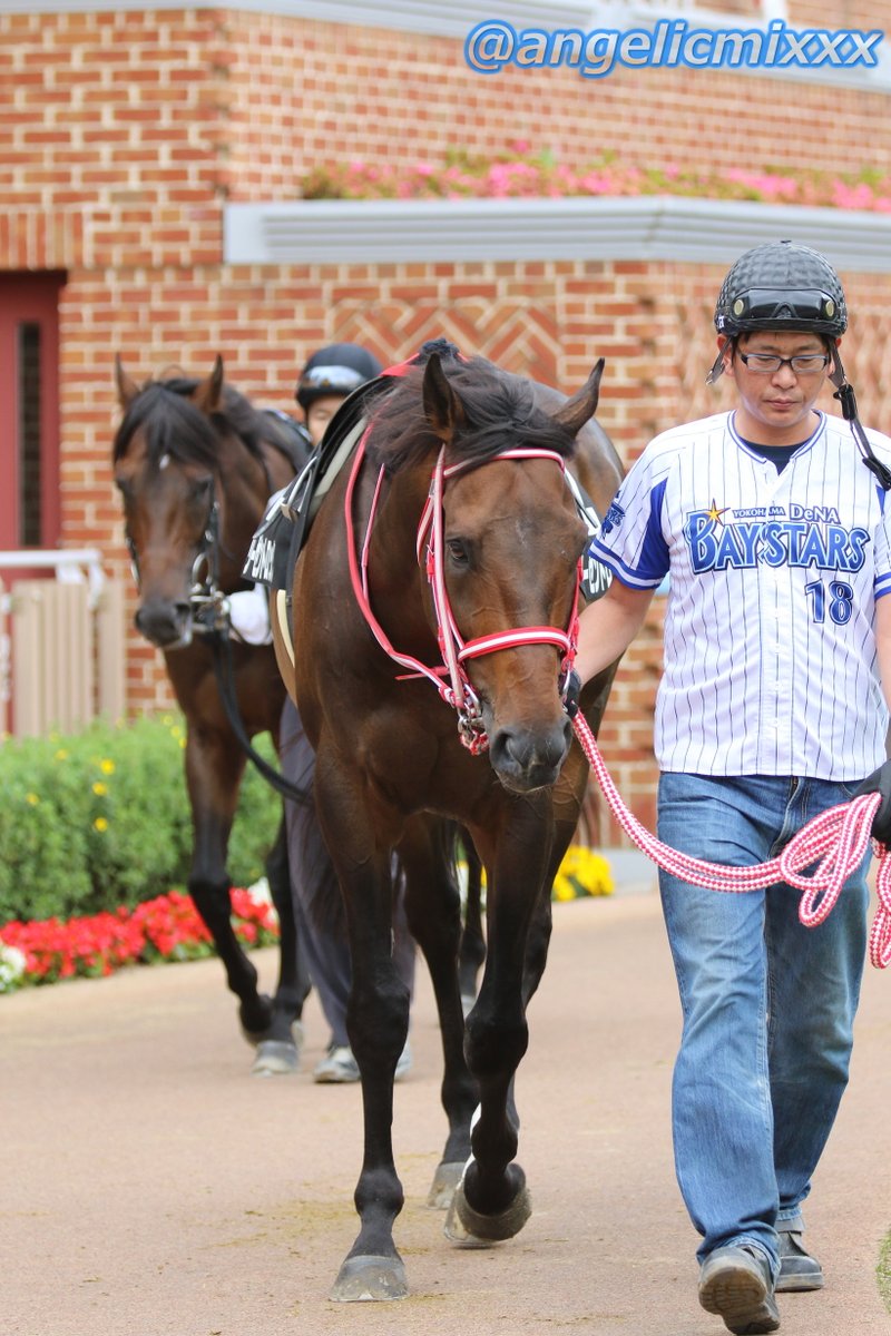 リーゼントロック