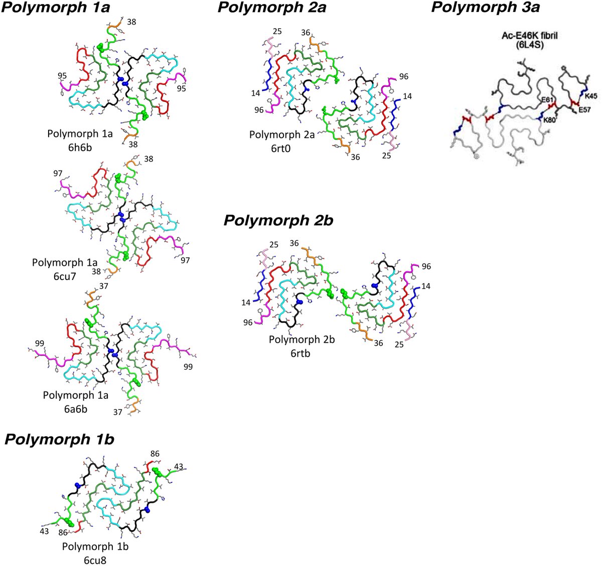 LabStahlberg's tweet photo. More polymorphs for alpha-synuclein fibrils:
See our paper in eLife (https://t.co/8JEghz0nlM) and Zhao et al. and Cong Liu in https://t.co/LeEcQYkk1b (https://t.co/Xd4xlyYmGU) https://t.co/pi9dCSuzyk