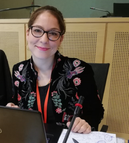 ECRI_CoE's tweet photo. @MariaMarouda @GRinStrasbourg @PACE_Equality @CoEDemocracy @coe @farrell_michael @DomenicaGhideiB ㊗️Congratulations also to Tena Šimonović Einwalter, #ECRI member in respect of Croatia🇭🇷  and Michael Whine, ECRI member in respect of the United Kingdom🇬🇧, who just got elected members of @ECRI_CoE's Bureau. https://t.co/9XijSns2U5