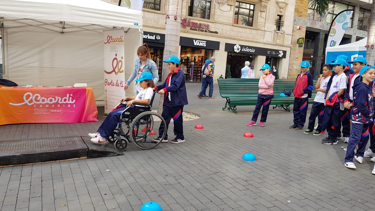 Santa Cruz Accesible tweet media