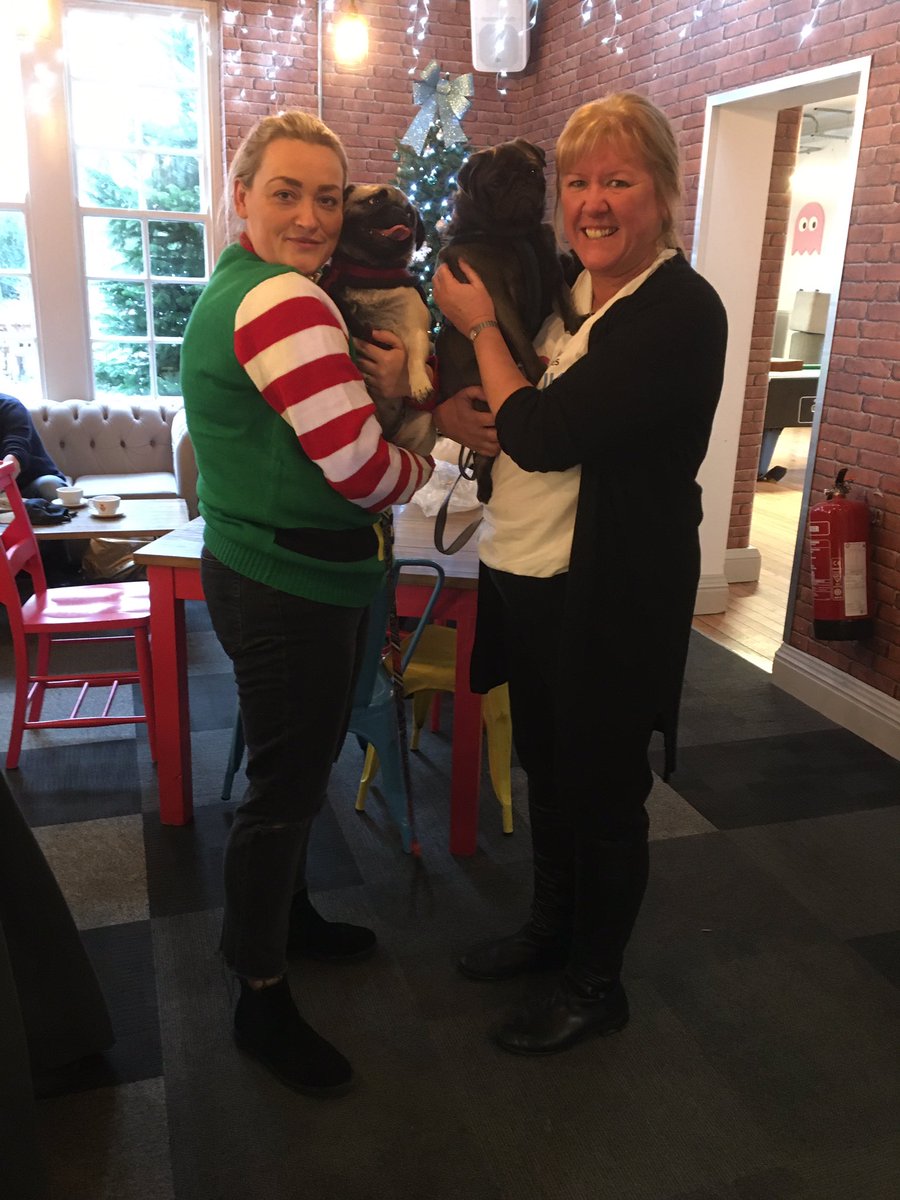 ButlandLisa's tweet photo. Special guests at the @AgeUKCK and @Digs_Student Christmas party 🌲 @storthesevents they stole the show! Bringing positive impacts to the social wellbeing of our clients #PDWRA https://t.co/y6hgJLgtJ3