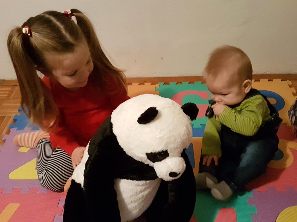 crvenikriz_hr's tweet photo. Imate li viška igračaka?🧸 Ako imate, sjetite se najmlađih u domovima ili poklonite roditelju za kojeg znate da će se ovih dana teško snaći za kupnju darova.🎁
Sonja i Tibor neko su vrijeme pregovarali i složili se da će pokloniti najvećeg medu kojeg imaju! 😍💝
#CiniDobro https://t.co/xIa4q4AuhM