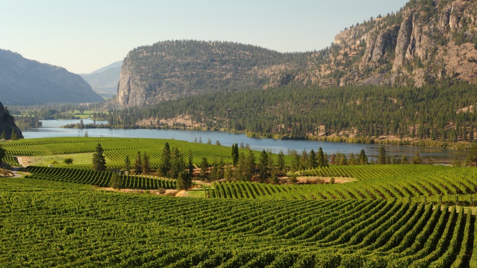 Biosphere Sustainable (@biospheresust) on Twitter photo Do you know that #ThompsonOkanagan is one of our proud #BiosphereDestination?
We love the way they contribute to #sustainability, that's maybe why tourism is increasing incredibly fast this year.
What are you waiting for to visit this amazing destination?💚
Follow <a href="/TOTABCNews/">Thompson Okanagan Tourism Association (TOTA)</a> 👏 Do you know that #ThompsonOkanagan is one of our proud #BiosphereDestination?
We love the way they contribute to #sustainability, that's maybe why tourism is increasing incredibly fast this year.
What are you waiting for to visit this amazing destination?💚
Follow <a href="/TOTABCNews/">Thompson Okanagan Tourism Association (TOTA)</a> 👏