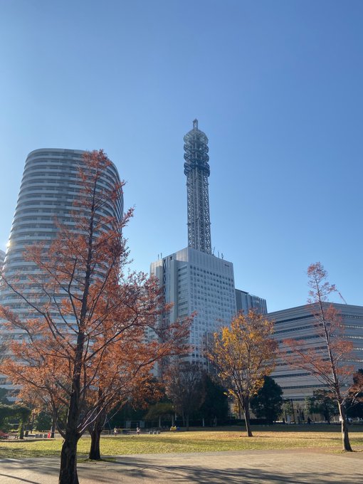 横浜みなとみらいはひとり夜散歩がおすすめ 気分転換できます Yokohamazine 横浜で転職就職 起業を考える人生ブログ