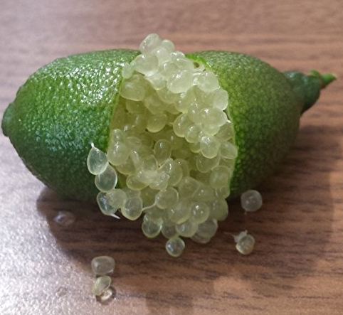 LucecoFruits's tweet image. New Lucecofruits project . Planting the first hectare of organic Citrus Caviar. You´ll remember the quality that the experience gives when you´ll taste them. Organic citrus growers since 1985. #organic #citrus #lemons #oranges #grapefruits #export #caviarcitrus Simply the best!🥰