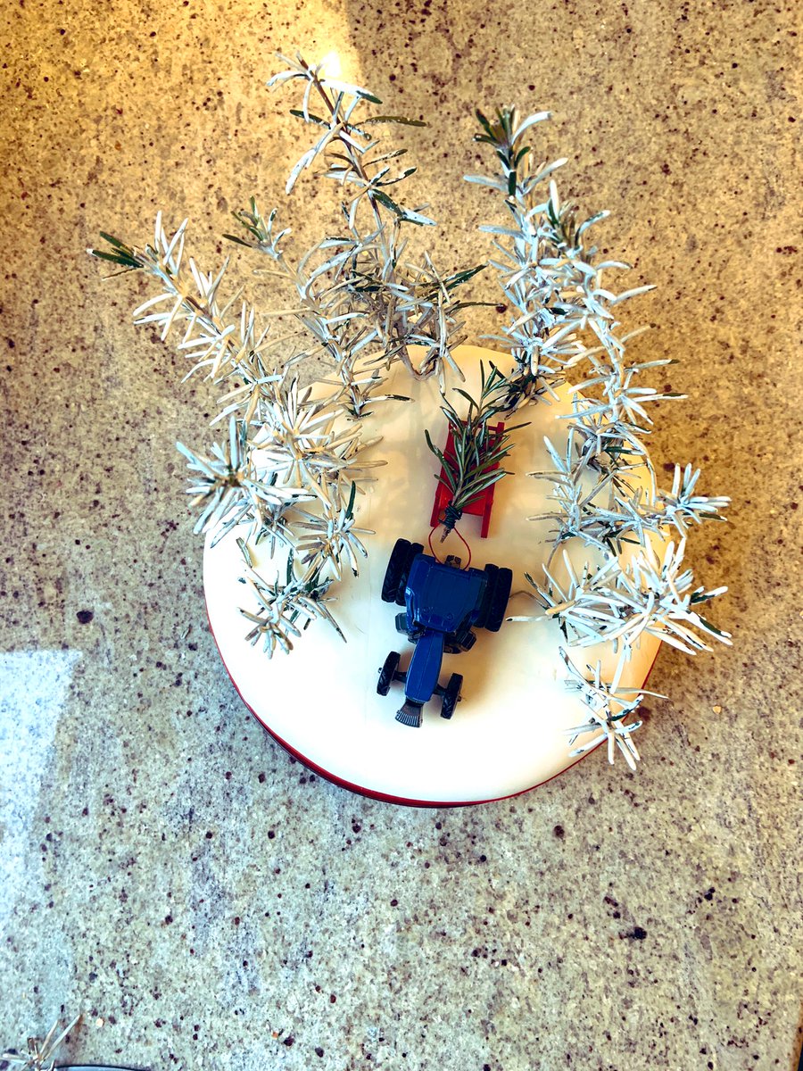 SkylarkArtist's tweet photo. Fetching the Tree...
#Christmas in the #Countryside 
#fruitsoftheforest #ChristmasCake #decorated
My sister can pipe icing perfectly I can only improvise
🚜🎄🌟 https://t.co/zAzwtgJyOX