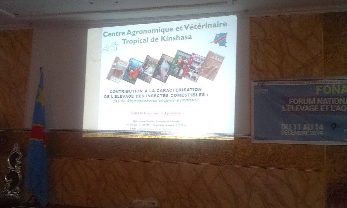 billy18061993's tweet photo. #FONAPEL2019, présentations des avantages liés à #l'élevage non conventionnel en #RDC cas  de (#aulacode et #mpose) comme une valeurs #économique et #nutritionnelle @WFP , @EquityBankCongo , @ypard_rdc https://t.co/LuVeYJuQSJ