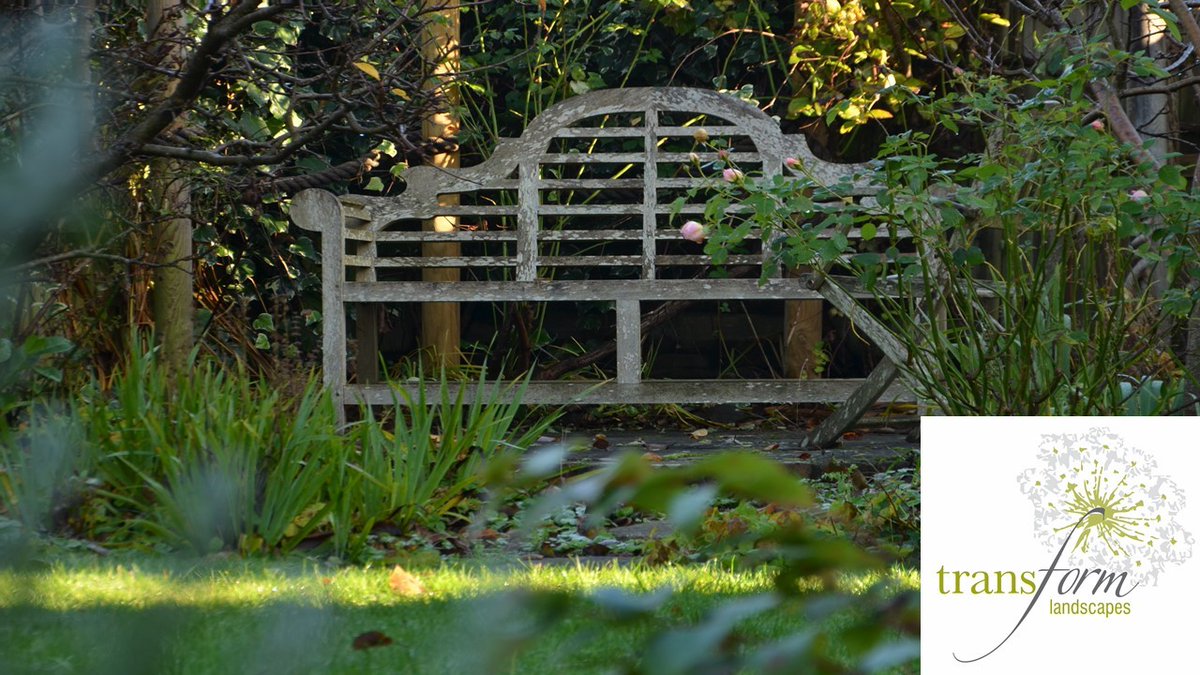 A #tranquil #wintergarden kept by the Transform #gardenmaintenance team for our Client in #haslemere