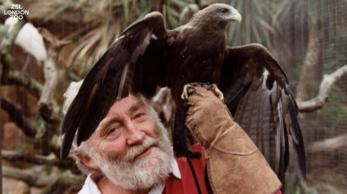 Zsl London Zoo At Zsllondonzoo Twitter