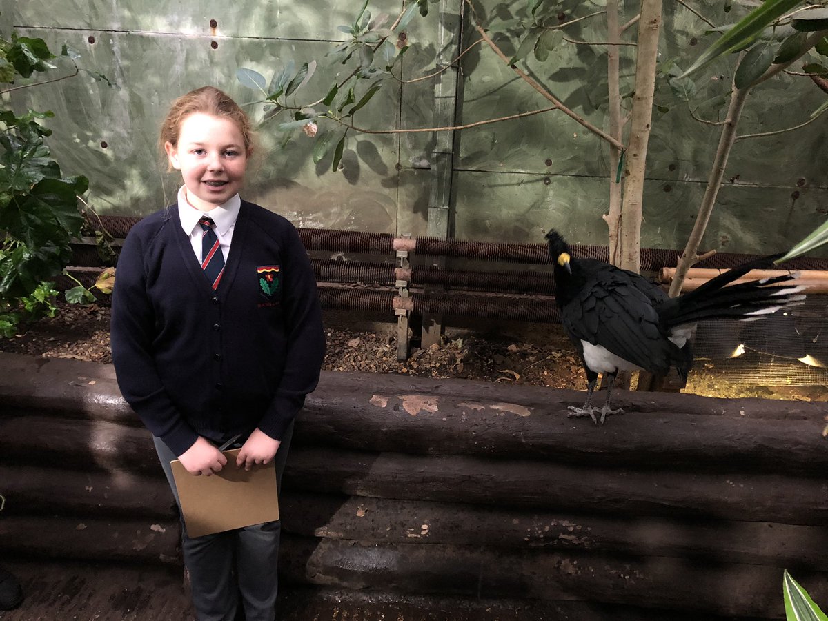 FrogmoreGeog's tweet photo. Great day at the Living Rainforest with Year 8...Cinnamon the sloth even came out to say hello! https://t.co/B984aiIDZj