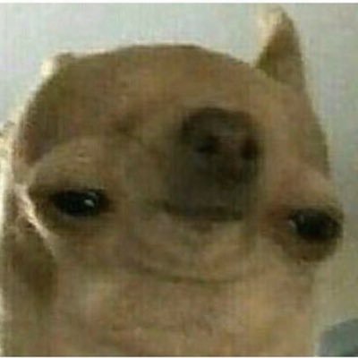 SwarmPapi's tweet image. #NewProfilePic