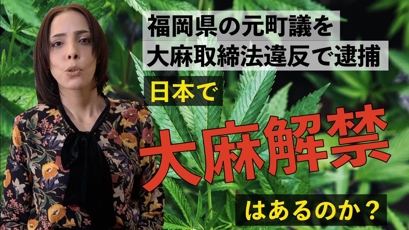 フィフィ 大麻取締法違反で逮捕の報道が後を絶たないなか 日本でも 医療大麻 解禁 の声が上がっています 推進派と反対派で今現在 日本でどの様な議論がなされているのか 分かり易くコンパクトに解説しました