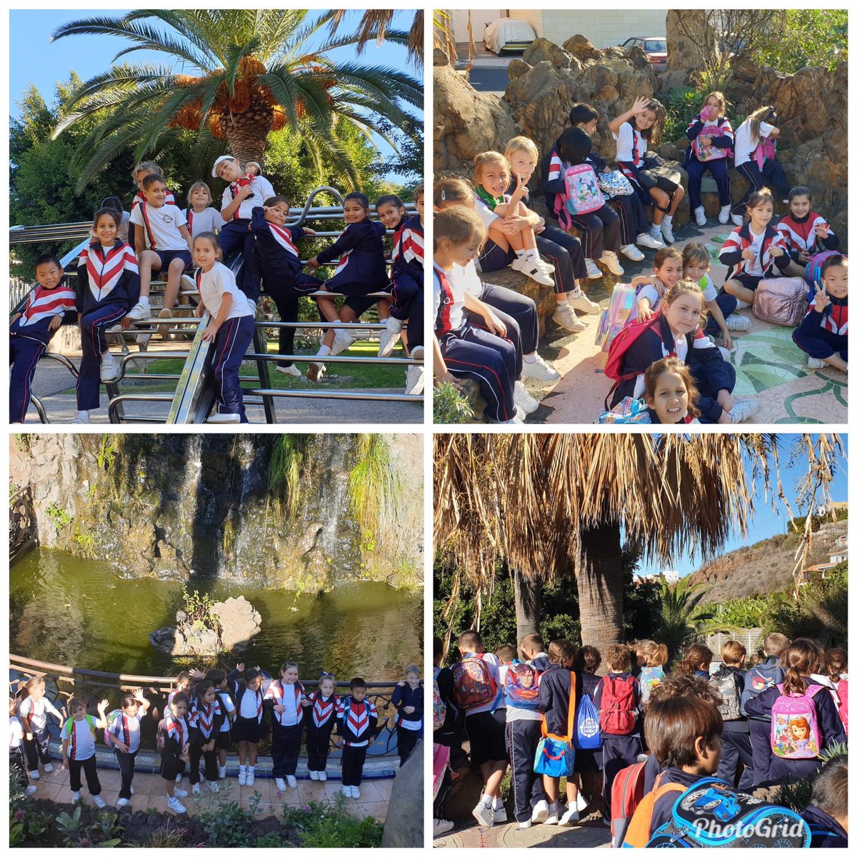 nazaretlapalma's tweet photo. #2PRIM / Hemos pasado un día increíble realizando actividades en nuestro municipio. /
#VamosContigo
@coleinnovadores https://t.co/oOqxTosquN