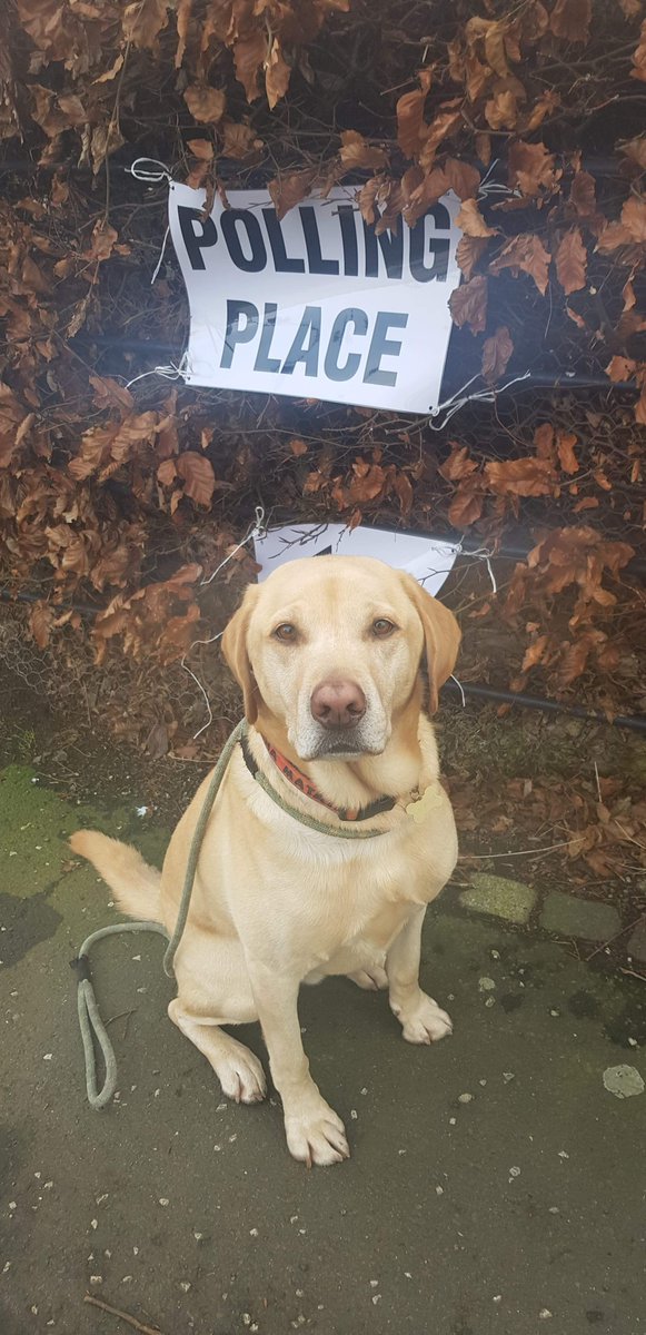 Dundee City Council tweet media