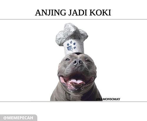 Anjingras Hashtag On Twitter