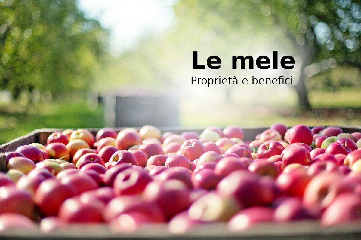 cPesoForma's tweet photo. Le #Mele: proprietà e benefici #ProprietàDegliAlimenti #Frutta
 https://t.co/9Gq5iblhY9 https://t.co/q9ENmJnxjA